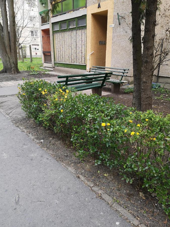 Natasa Apartman 오라샤자 외부 사진