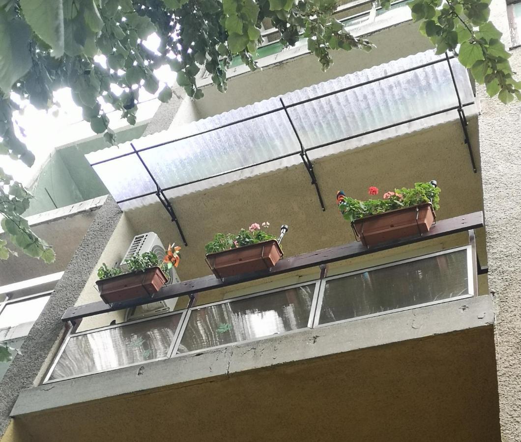Natasa Apartman 오라샤자 외부 사진