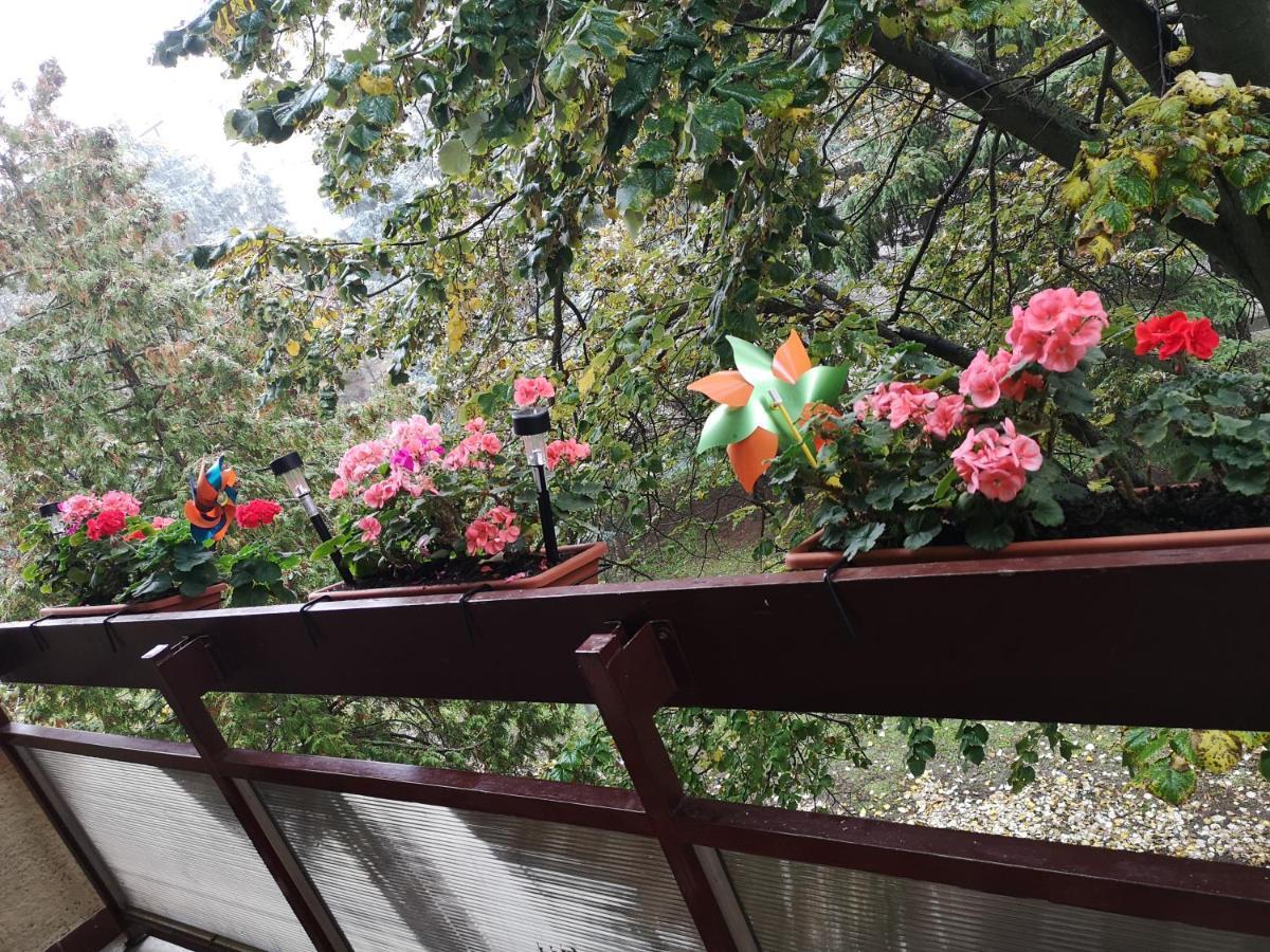 Natasa Apartman 오라샤자 외부 사진